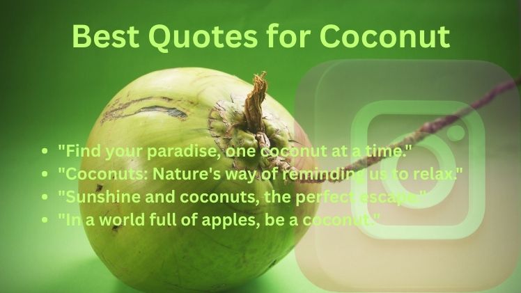 Best Quotes for Coconut