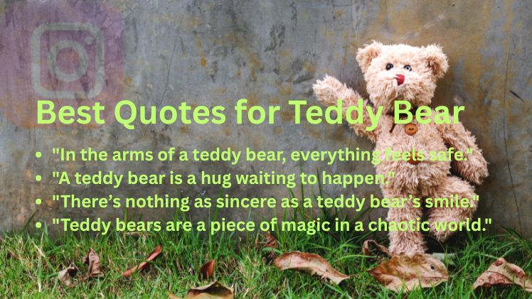 Best Quotes for Teddy Bear