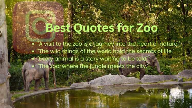 Best Quotes for Zoo