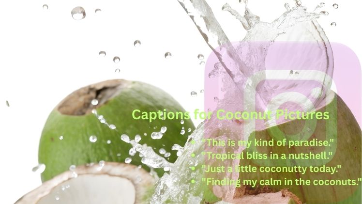 Captions for Coconut Pictures