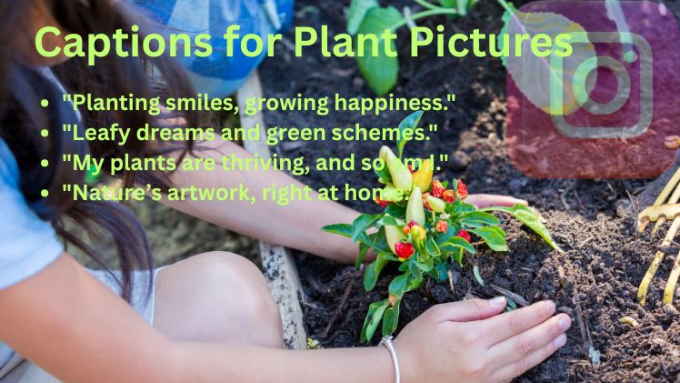 Captions for Plant Pictures