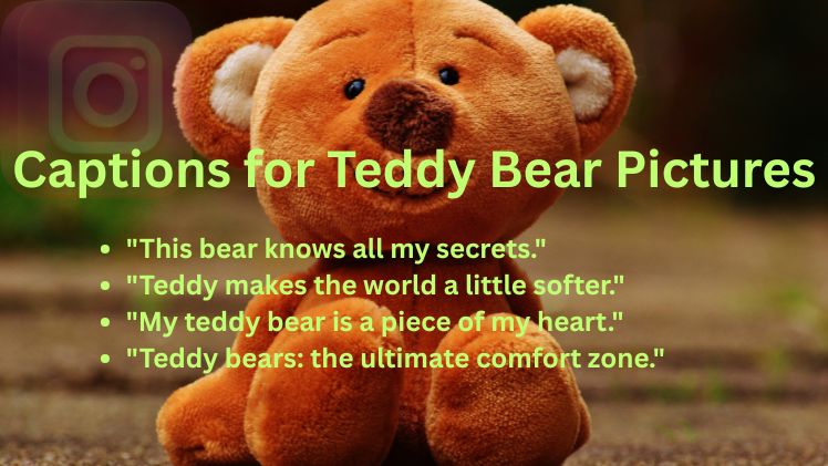 Captions for Teddy Bear Pictures