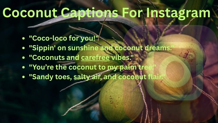 Coconut Captions For Instagram
