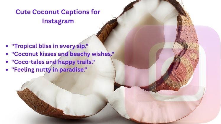 Cute Coconut Captions for Instagram