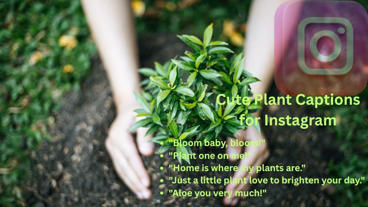 Cute Plant Captions for Instagram