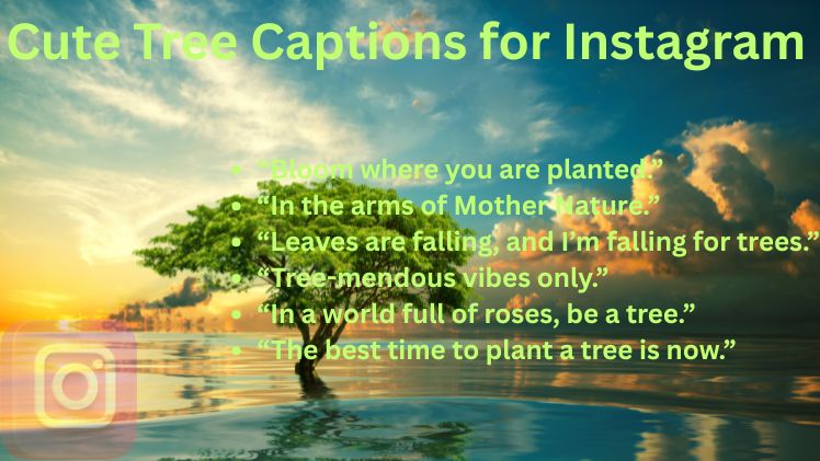 Cute Tree Captions for Instagram