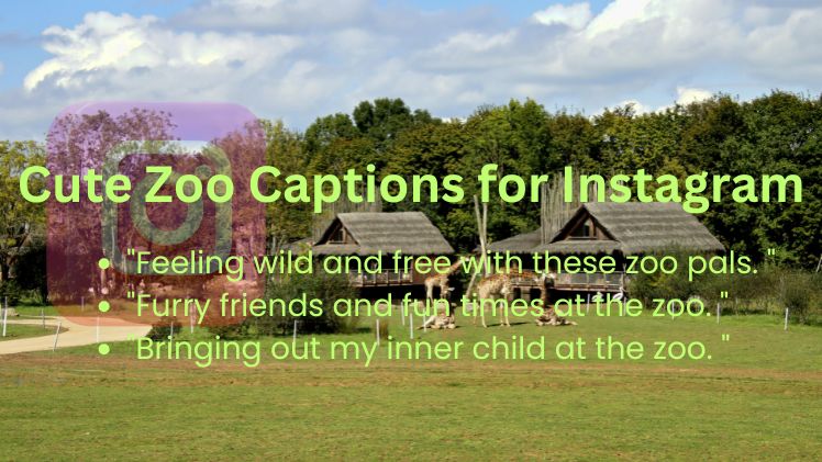 Cute Zoo Captions for Instagram