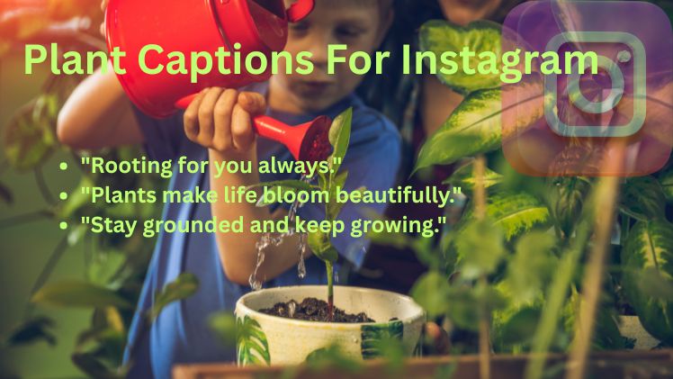 Plant Captions For Instagram