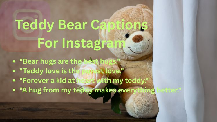 Teddy Bear Captions For Instagram