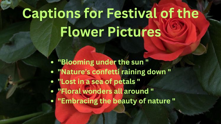 Captions for Festival of the Flower Pictures