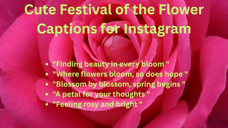 Cute Festival of the Flower Captions for Instagram