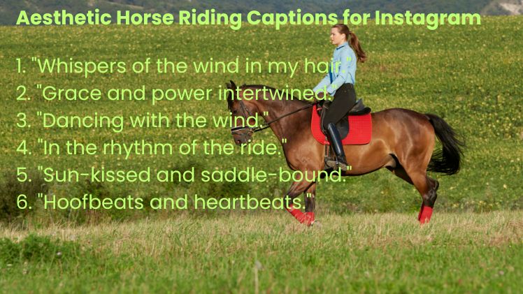 Aesthetic Horse Riding Captions for Instagram