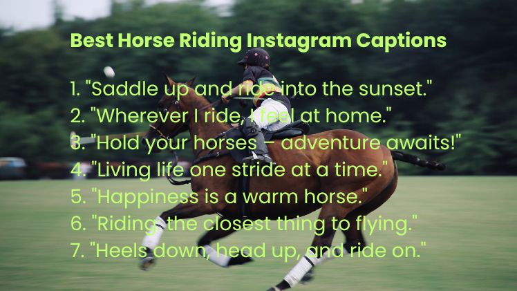 Best Horse Riding Instagram Captions