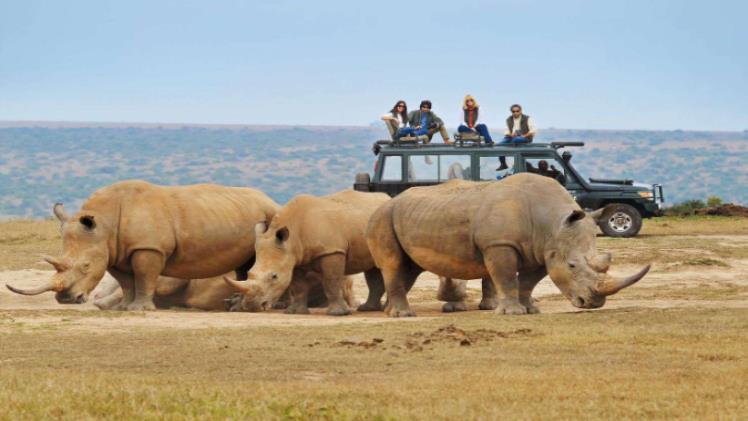 Why African Safari Packages Are Worth Every Penny for Nature Enthusiasts